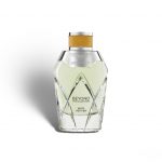 Bentley Beyond Co Wild Vetiver EDP